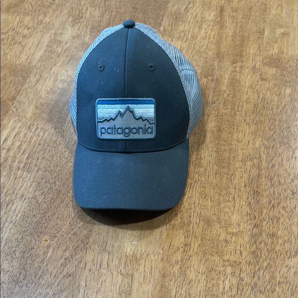 Patagonia Black and Gray Mesh Cap